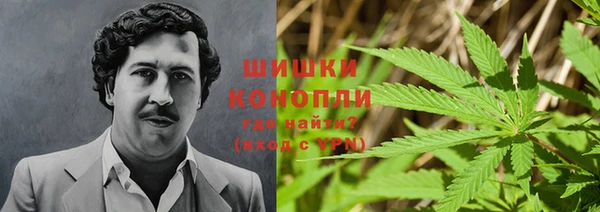 дурь Бронницы