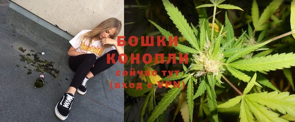 дурь Бронницы
