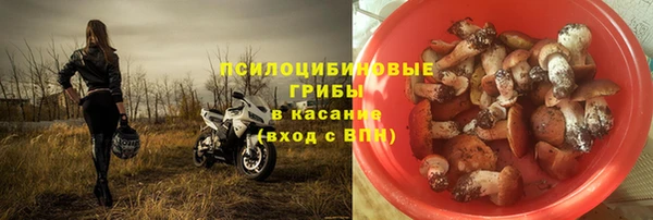 mdma Бородино
