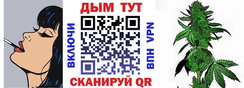ссылка на мегу зеркало  Жуковский  Бошки Шишки VHQ 